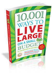 10001-ways-to-live-large-3d-coverb-200x280