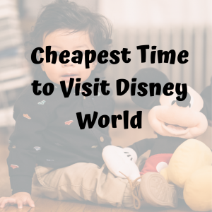 cheapest time to visit disney world