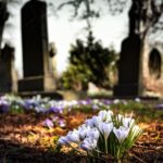 what happens to your stuff when you die